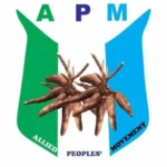 2027: Radda pledges Katsina’s support for Tinubu’s re-election