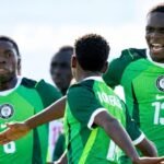 NPFL: Warri Wolves supporter banned over alleged assault on match official