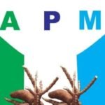 Ex-senator backs Tinubu’s $1n economy ambition